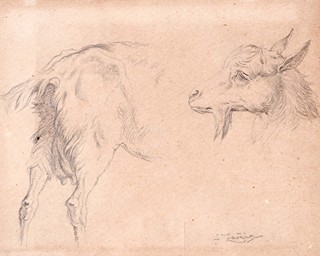 František Bohumír Zvěřina (1835 - 1908) -  Koza