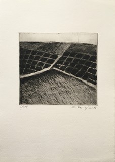 Emanuel  Ranný (1943) -  Pole