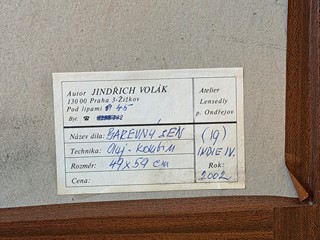 Volák Jindřich - Barevný sen - Indie IV.