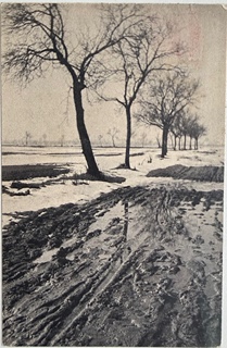 Item 431