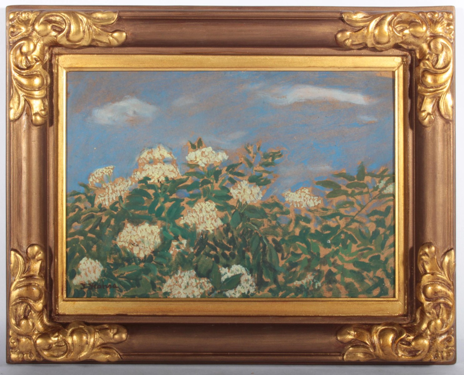 Honsa Jan (1876 - 1937)