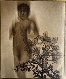 Miloslav Stibor (1927 - 2011) - Thalló VIII.