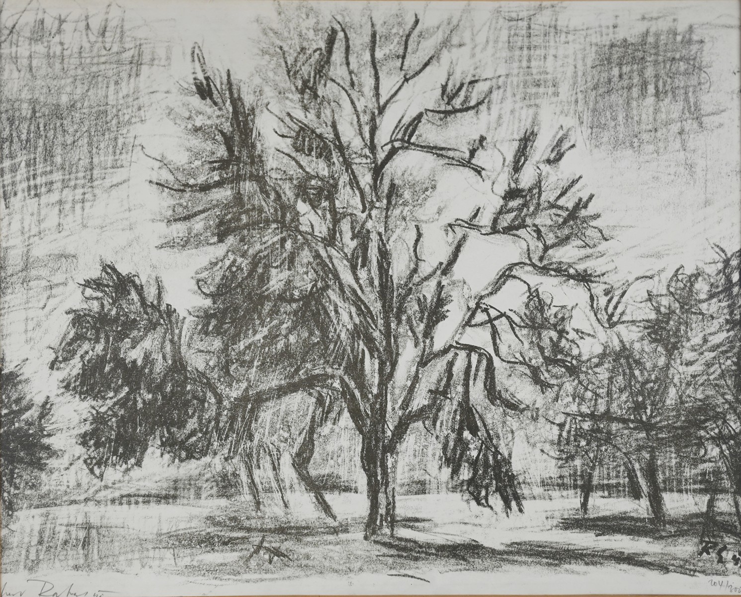 Václav Rabas (1885-1954) - Památný strom