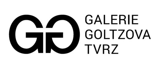 Galerie Goltzova tvrz - společná aukce obrázek
