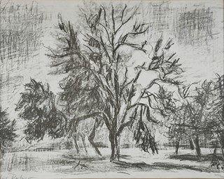 Václav Rabas (1885-1954) - Památný strom
