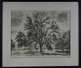 Václav Rabas (1885-1954) - Památný strom