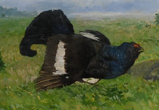 Vojtěch Hynek Popelka (1888 - 1961) - Tetřev