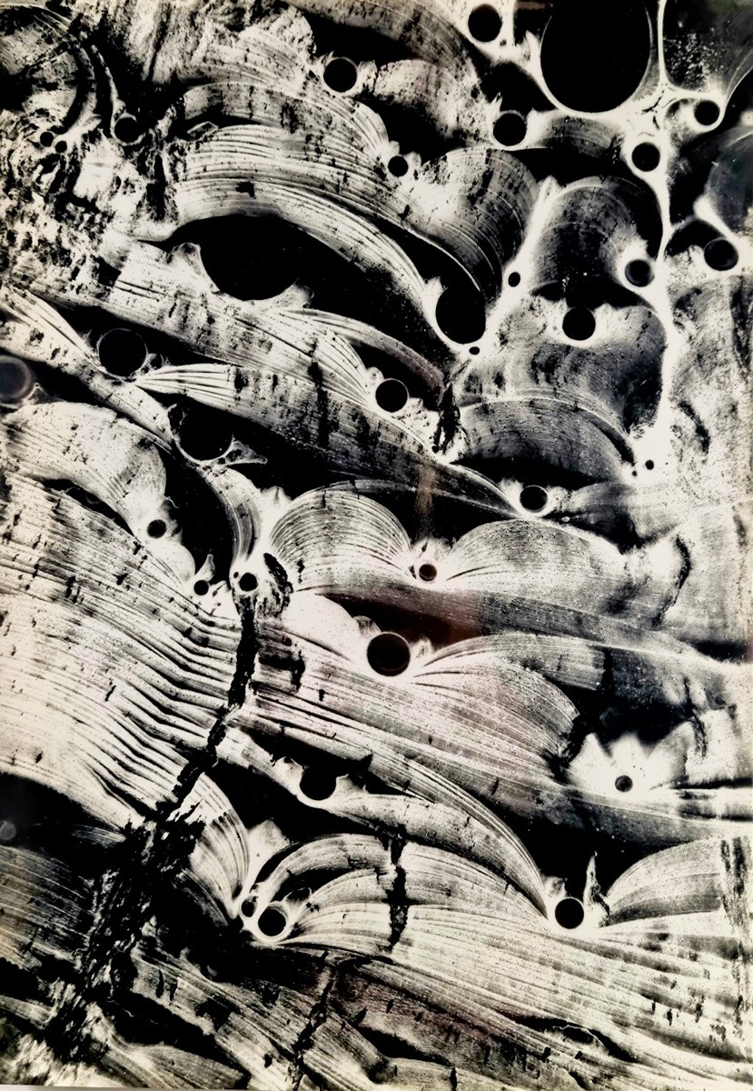 Koreček Miloš - Fotografie no. 2, rok 1972
