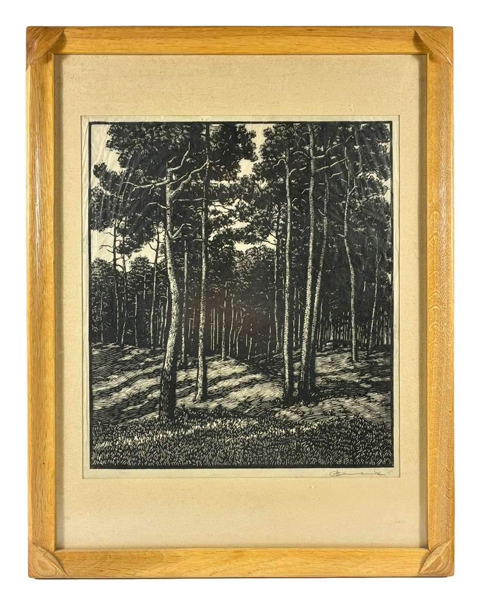 Borovicový les