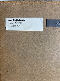 Rajlich Jan ml. - Vítej A. 1988