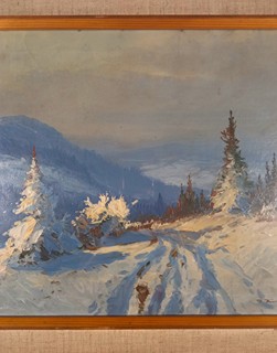 Häring Josef - Zima plná sněhu