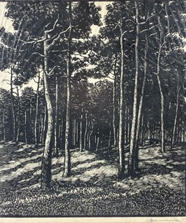 Borovicový les