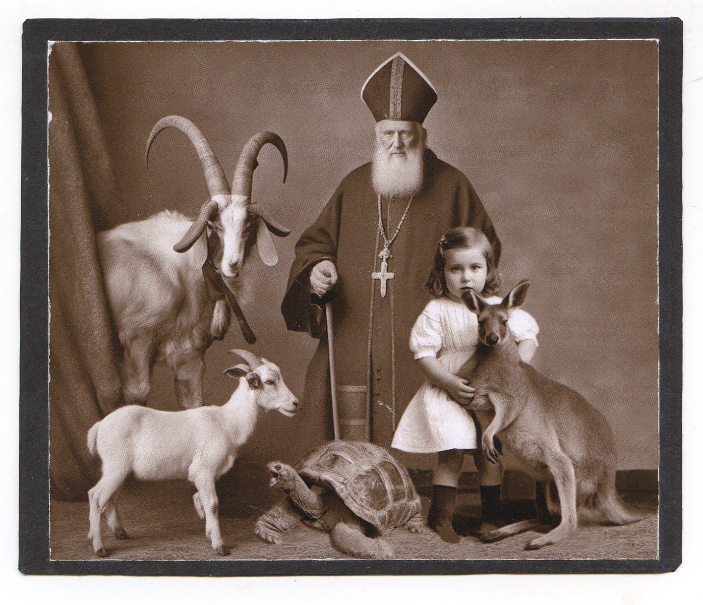 Jiří Stach (1944) - Bez názvu