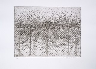 Marie Blabolilová (1948) - Drátěný plot