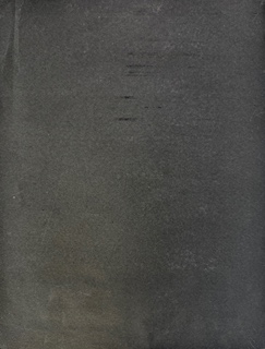 Josef Sudek (1896 - 1976) - Busta Anny Svídnické z triforia Katedrály svatého Víta v Praze