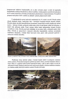 Adolf Chwala (1836 - 1900) - Odpočinek u horského potoka
