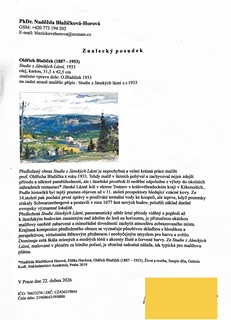 Oldřich Blažíček (1887-1953) - Studie z Jánských Lázní