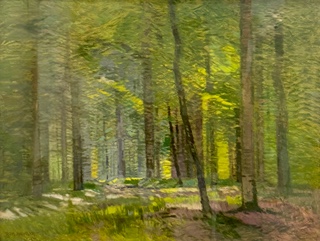Roman Havelka (1877–1950) - Zelená nálada