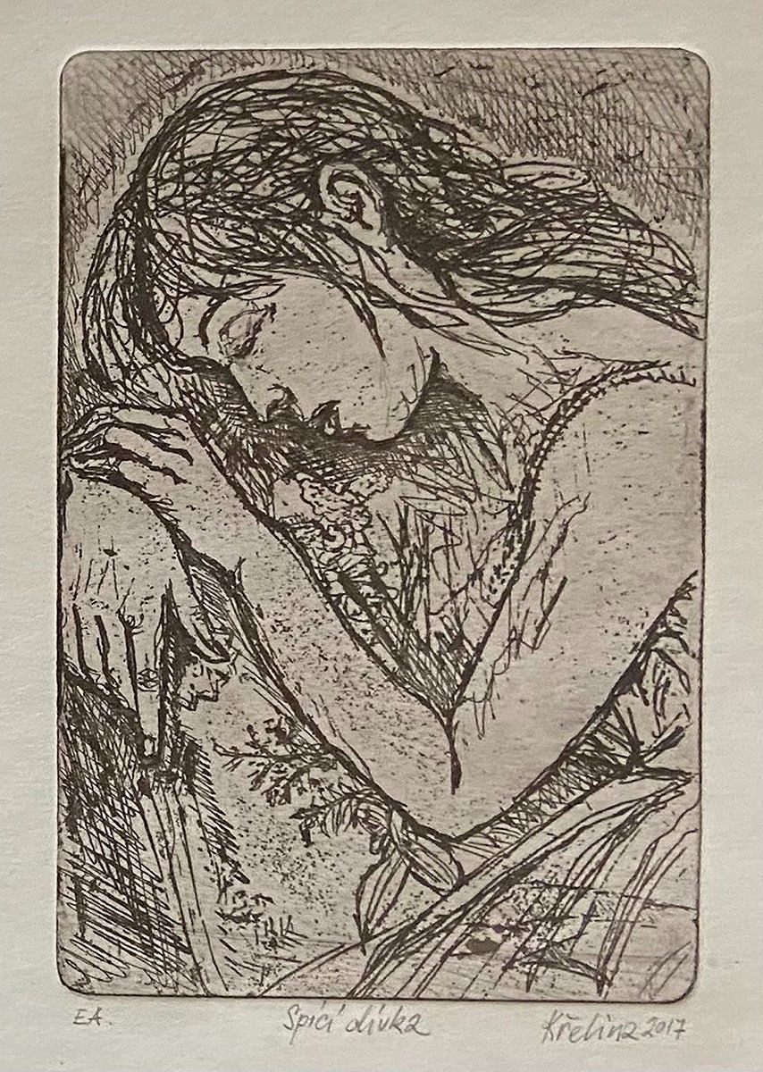 Roman Křelina (1966) - Spící dívka