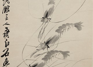 Shrimps