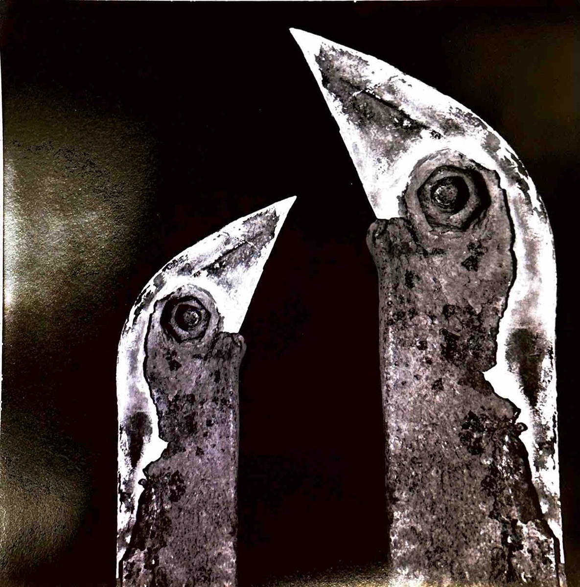 Ladislav Postupa (1929 - 2016) - Ptáci