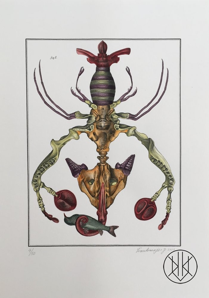 Jan Švankmajer (1934) - Bilderlexikon - zoologie 7