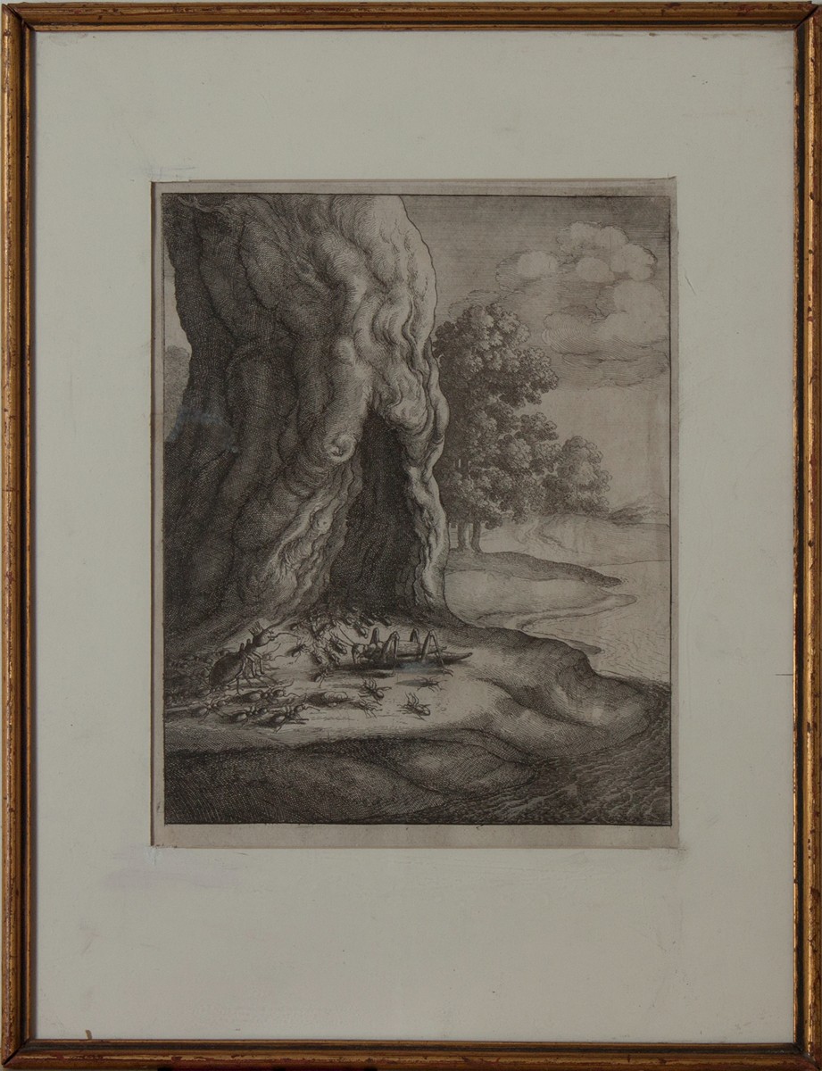 Václav Hollar (1607 - 1677) - O mravenci a o kobylce