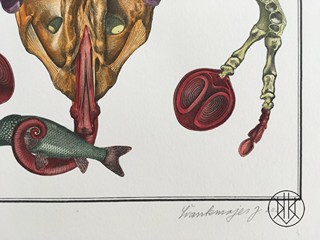 Jan Švankmajer (1934) - Bilderlexikon - zoologie 7