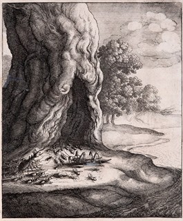 Václav Hollar (1607 - 1677) - O mravenci a o kobylce