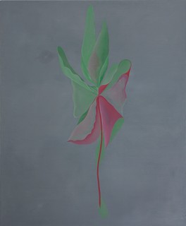 Petr Nikl (1960) - Květina