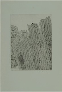 Item 205