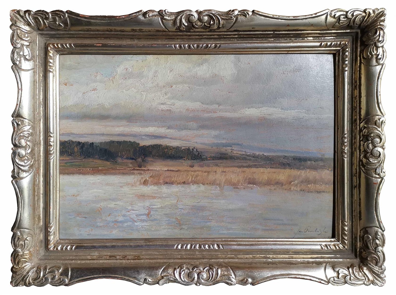 Procházka Josef - Rybník Hruškov