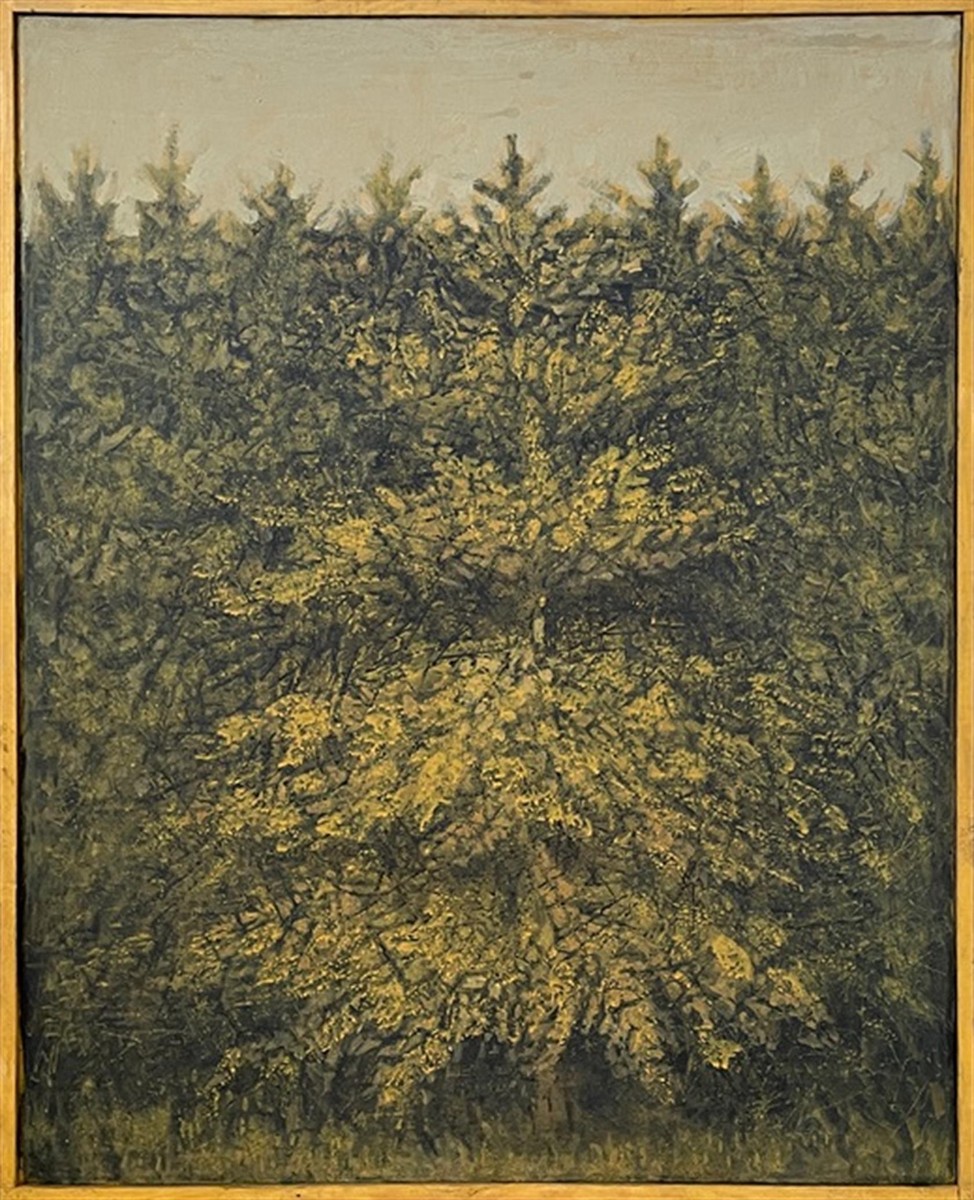 Blabolilová Marie - Lesík