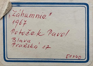 Potoček Pavol - Záhumnie