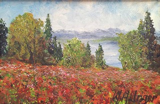 Unger Wolfgang Heinz - Mohnblumenfeld am See