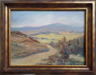 Stein Václav - Krajina