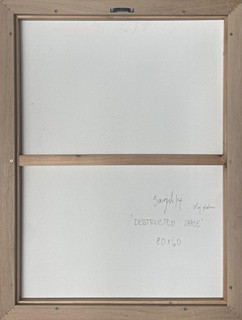 Basjuk Ondřej - Destructed space