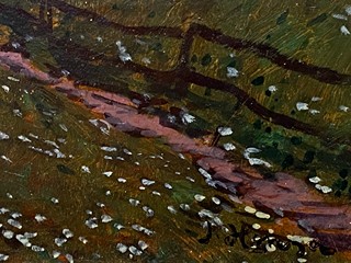 Jan Honsa - Chalupy