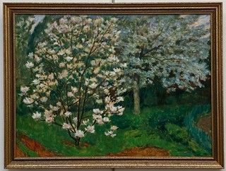 Antonín Hudeček - Magnolie