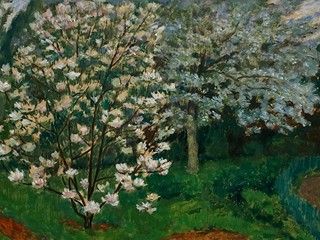 Antonín Hudeček - Magnolie