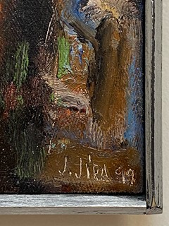 Josef Jíra - Sněženky
