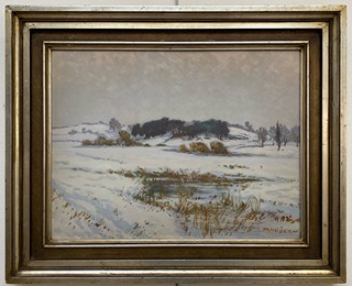 Jaroslav Panuška - Zima na Českomoravské vysočině