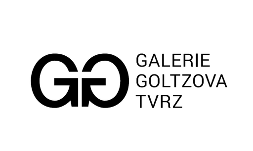 Galerie Goltzova tvrz - společná aukce obrázek
