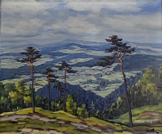 Ladislav J. Špitník (1901 - 1951) - Šumava