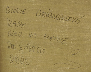 Glorie Grünwaldová (2000) - Vlasy