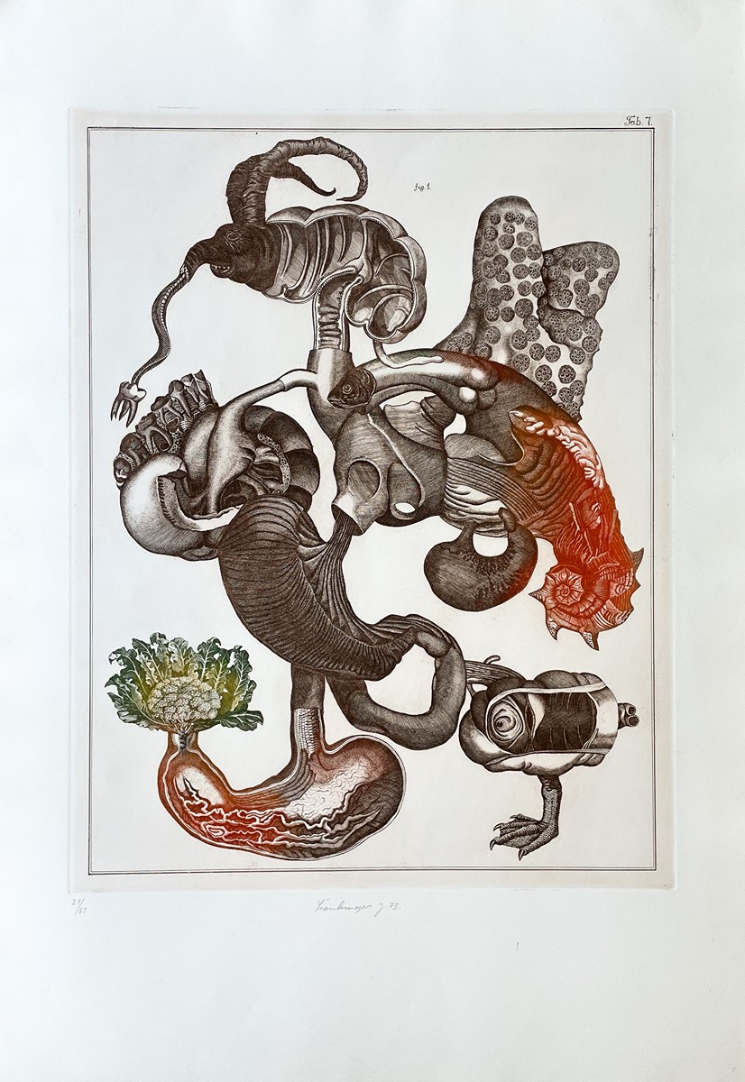 Jan Švankmajer 1934 - Přírodopis č. 7