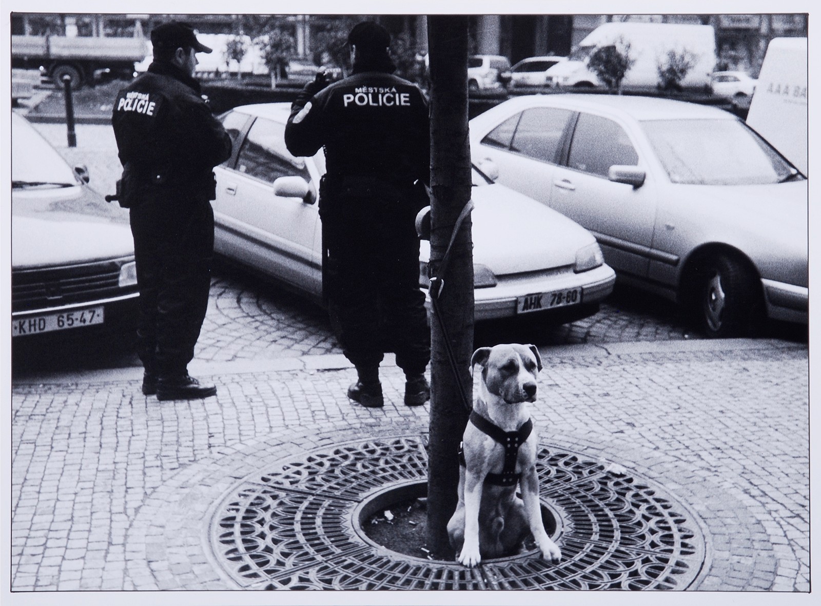 František Dostál 1938 - 2022 - Ze souboru "Psí příběhy"