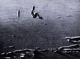 Vilém Reichmann 1908 - 1991 - Bezhlesnost z cyklu Tabularia