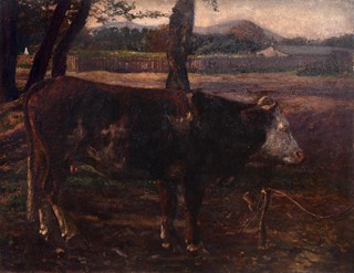 Antonín Hudeček  1872 - 1941 - Kráva
