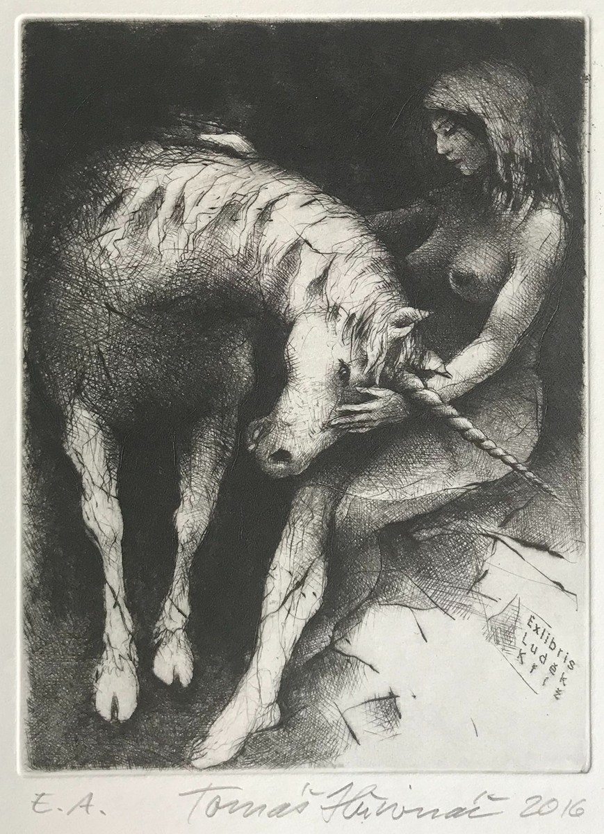 Tomáš Hřivnáč 1959 - Ex libris Luděk Kříž